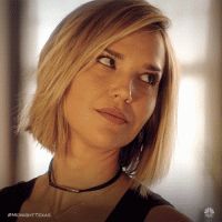 giphynovo4.gif