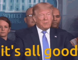 donald-trump-trump.gif