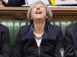 giphy3.gif