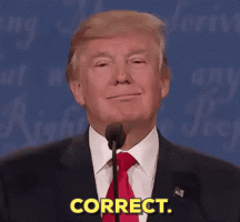 giphykorekt.gif