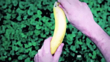 giphy3.gif