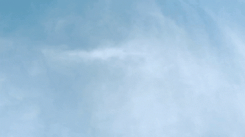 giphy.gif