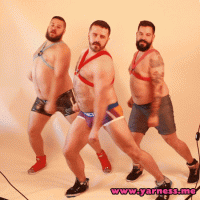 giphy6.gif