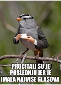 1652446197583.webp