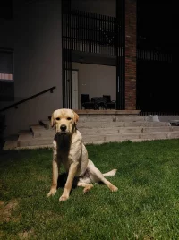 Screenshot_20230920-174053_Gallery.webp