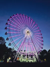 20230921_190428.webp
