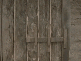 maja-odzaklijevska.gif