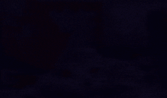 IMG_4201.gif