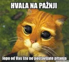 download77.webp
