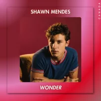 251shawn.webp