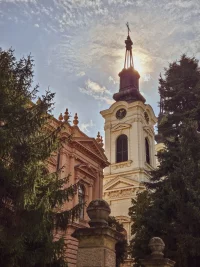 20231010_121025.jpg