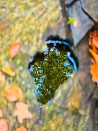 IMG_20231022_140137.webp