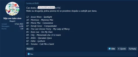 nsts.jpg