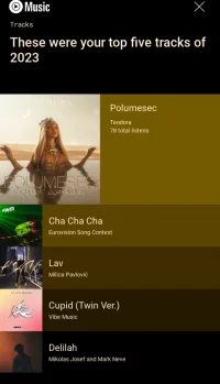 Screenshot_20231129-180735_YouTube Music.webp