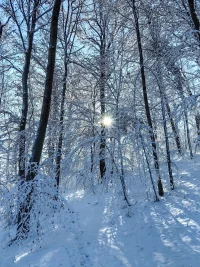 IMG_20240120_102012.webp
