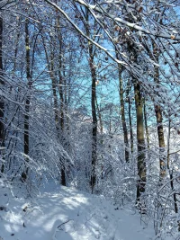 IMG_20240120_102111.webp