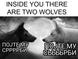 GE1RAKiWcAAIBoy.webp