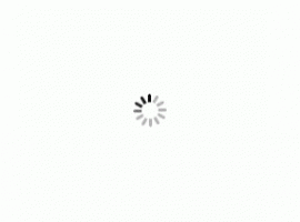 loading-instagram.gif