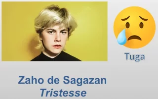 Zaho de Sagazan finalni baner.webp Zaho de Sagazan finalni baner.webp