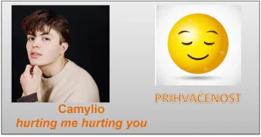 Hurting me hurting you.webp