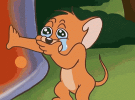 89D06173-DD66-4F12-9576-FE711F8ED6F5.gif