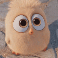 bird-chick.gif