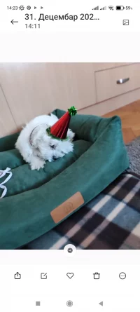 Screenshot_2022-12-31-14-23-50-352_com.miui.gallery.webp