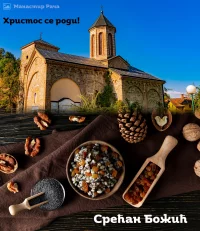 SreccanBozic.webp