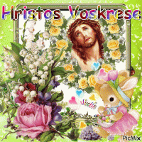 IMG_6225.gif