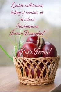 IMG_6226.webp