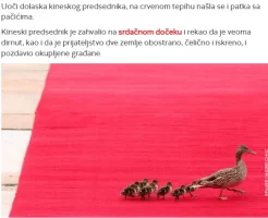 preKina.webp