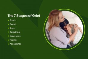 Health-stages-of-grief-7482658_Horiz-905f0deccafd4847895d7226a03ba3ef.jpg