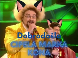 cipela marka kona.jpg