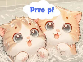 mačkić1.webp mačkić1.webp