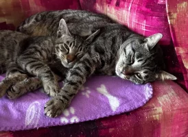 IMG_0483.webp IMG_0483.webp