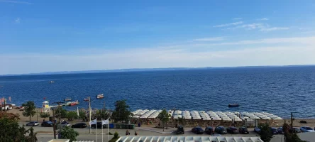 1000016037.webp 1000016037.webp