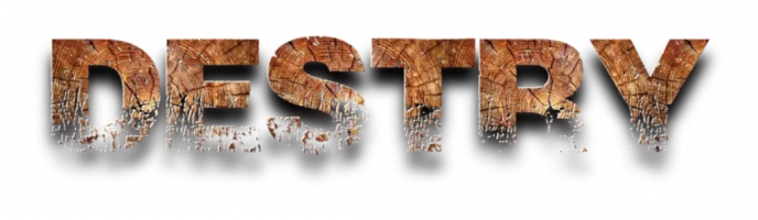 Destry-8-11-2024.webp Destry-8-11-2024.webp