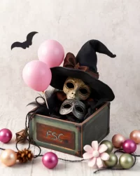 FSC_20241015_114334_0000.webp FSC_20241015_114334_0000.webp