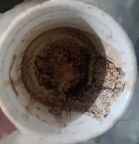 IMG_20241017_151208959~3.webp IMG_20241017_151208959~3.webp