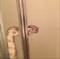 IMG_7928.webp IMG_7928.webp