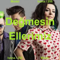 255Model.webp 255Model.webp