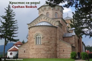Bozic2025.webp