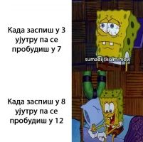 mimi.webp