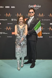 IrelandCarpet1.webp