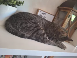 1000031860.webp 1000031860.webp