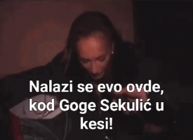 goga-goga-sekulic.gif
