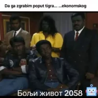 1753253285249.webp