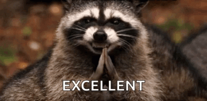 raccoon-yes.gif