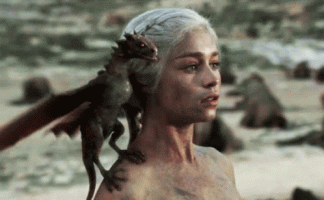 1000095239.gif