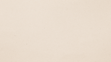 www neurobit - stat.gif